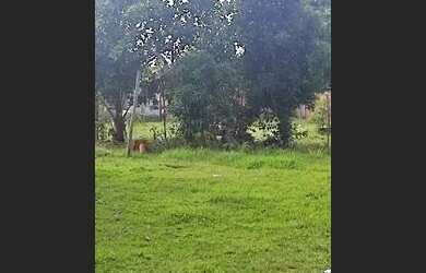 Imagem: O terreno à venda e está localizado em Andaraí, BA por