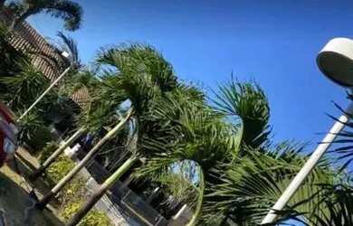 Imagem 13: NAVEGANTES VISTA MAR LIGA 9 8 7 4 8 3 1 0 8 DIEGO 9989F