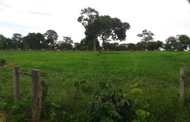 Imagem 4: Excelente Fazenda de 1.500 Hectares em Montes Claros Minas Gerais