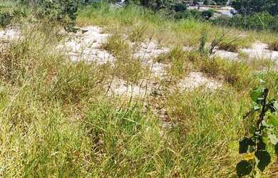 Imagem 8: LOTE DE 300 MT BARATO. 300m² de Área