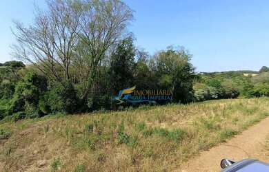 Imagem 1: Chácara à venda, 24200 m² por R$ 350.000,00 - São João Doeste - Cascavel/PR