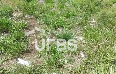 Imagem 4: ÁREA À VENDA FRENTE AO ANEL VIÁRIO 506m²