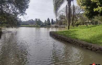 Imagem 8: Terreno para Venda em Nova Petrópolis, Linha Imperial