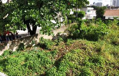 Imagem: O terreno está localizado em Piedade, Jaboatão Dos Guararapes