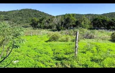 Imagem: O terreno possui 600m² de Área e está localizado em Porto