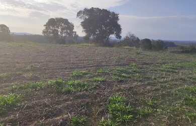 Imagem 3: Terreno barato em Atibaia você só encontra aqui
