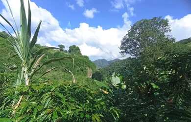 Imagem 4: Sítio Santa Tereza, troco por carro e moto