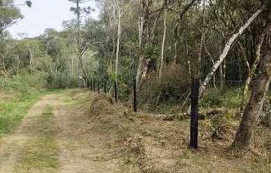 Imagem 3: Terreno ideal para chácara