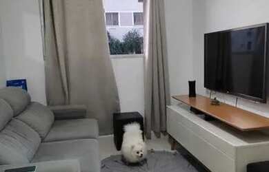 Imagem 4: Vendo apartamento