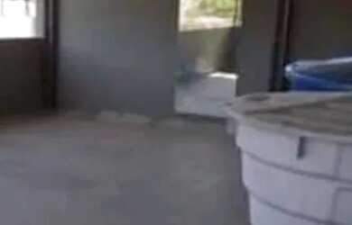 Imagem: O apartamento na cobertura possui 2 Dormitórios, 1 Banheiro