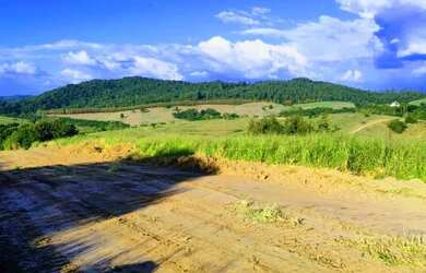 Imagem 11: 03a-TM1I20. 500m² de Área