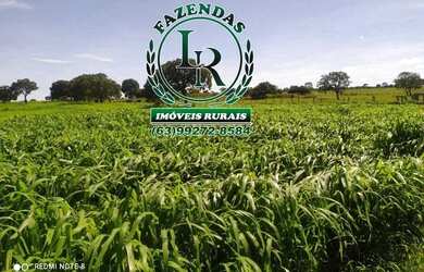 Imagem: A fazenda está localizado em Plano Diretor Sul, Palmas à venda