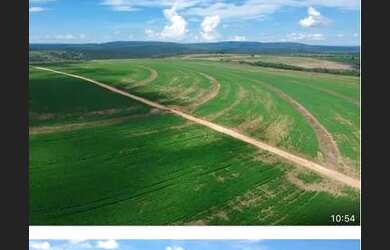 Imagem: A fazenda está localizado em Uberlândia, MG à venda por