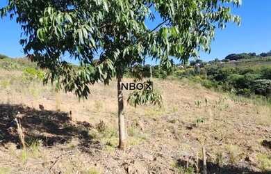 Imagem 2: INBOX CIA IMOBILIÁRIA VENDE, TERRENO EM MONTE BELO DO SUL, FRENTE NORTE