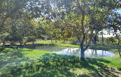 Imagem 3: Fazenda de 57 alqueires. 1m² de Área