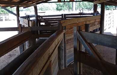 Imagem 8: Fazenda toda estruturada para pecuária, 7.821,44 hectares /1.616 Alqueires...