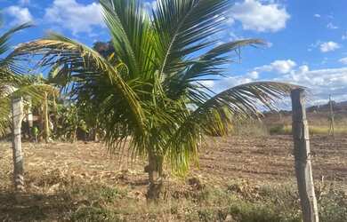 Imagem 4: Fazenda/Sítio/Chácara para venda possui 90 metros quadrados em Canabrava...