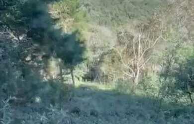 Imagem: O terreno possui 824m² de Área e está localizado em Campo