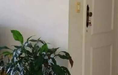 Imagem 2: Casa à venda, 3 quartos, 1 suíte, 4 vagas, Chácaras Alpina - Valinhos/SP