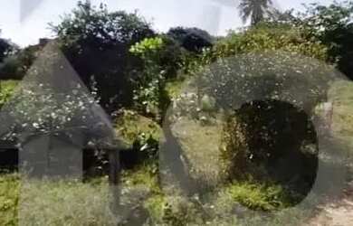 Imagem: O terreno possui 384m² de Área e está localizado em Matapoã