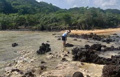 Imagem: A casa possui 1 Dormitório, 1 Banheiro e 200m² de Área e