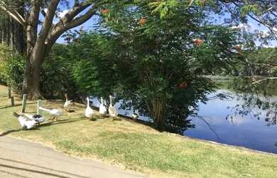 Imagem 9: Terreno à venda, 10000 m² por R$ 3.180.000 - Chácaras Cataguá - Taubaté/SP