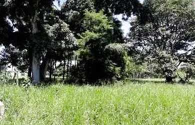 Imagem 4: Terreno à venda, 10000 m² por R$ 3.180.000 - Chácaras Cataguá - Taubaté/SP