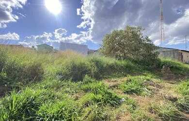 Imagem 3: Lote/Terreno para venda possui 300 metros quadrados em Jardim São José...