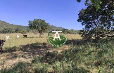 Imagem 7: Fazenda no Faina GO 38 alq