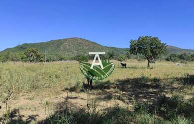 Imagem: Fazenda no Faina GO 38 alq