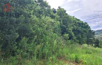 Imagem 4: Sítio à Venda em Gramado