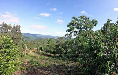 Imagem 2: Sitio - Bairro Linha Caraha