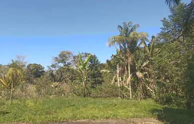 Imagem 12: Chacara em forma att Haberli