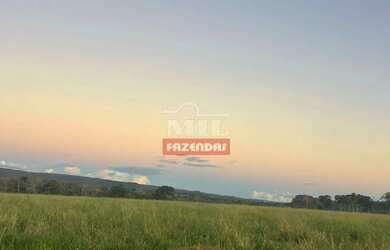 Imagem 15: Fazenda 90 Alqueires 440 Hectares Caiaponia - GO