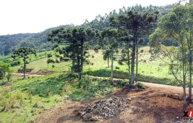 Imagem 5: Sítio / Chácara para Venda em Nova Petrópolis, Linha Brasil Fundos