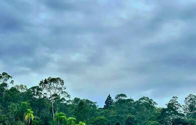 Imagem 9: Terreno em local tranquilo e seguro