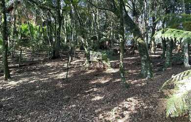 Imagem 7: TERRENO NO CONDOMÍNIO LAGOS DE GRAMADO