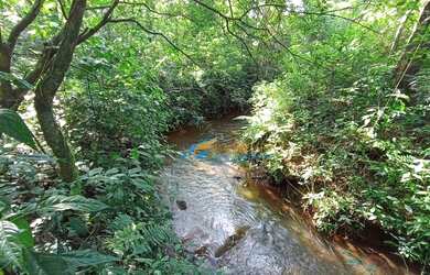 Imagem 5: Chácara à venda, 24200 m² por R$ 350.000,00 - São João Doeste - Cascavel/PR