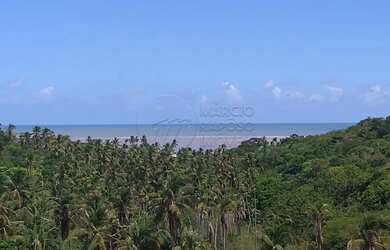 Imagem 15: Terreno 543,26m² - Vista Mar - Reserva Porangatu - Rota dos Milagres