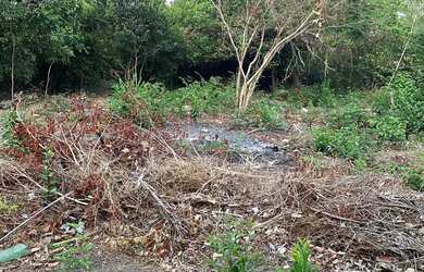 Imagem 2: VENDO TERRENO EM PANAQUATIRA