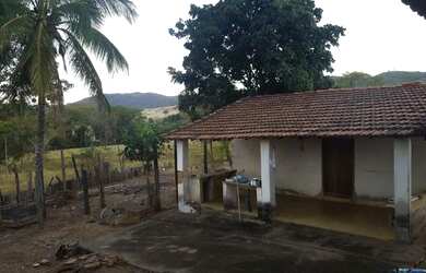 Imagem 3: Fazenda Samambaia Aurilandia Goias Remo-Recanto Monte das Oliveiras Park...