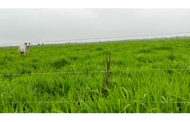 Imagem 1: 130 Alqs Pronta Planta Toda Vale do Araguaia Região Aliança TO