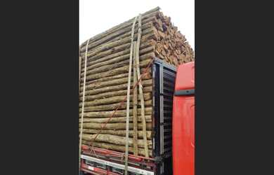 Imagem 3: VENDO ESTACAS SABIÁ , MOURÕES , ESTICADORES