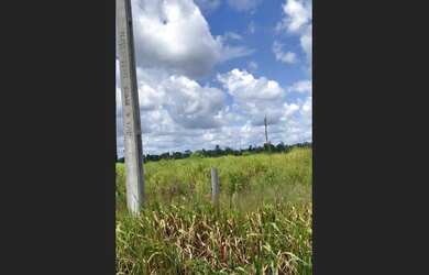 Imagem 5: Fazenda Tailandia 273ha. Direto com o proprietário, 2.730.000m² de Área,...