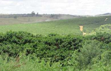 Imagem 12: Fazenda de 3.231 há Sul de Minas MG