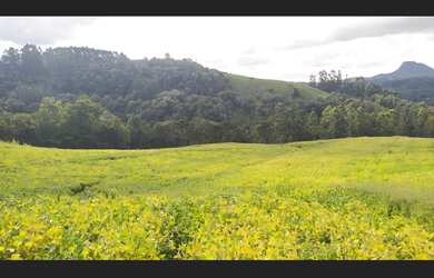 Imagem: A fazenda possui 30.000.000m² de Área, Direto com o proprietário