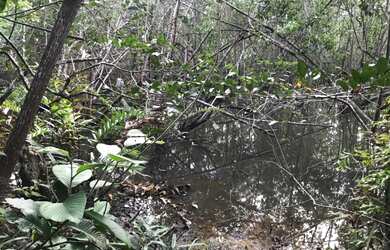 Imagem 9: Fazenda em Nazaré -Ba. 