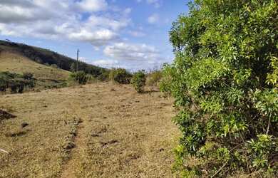 Imagem 15: Fazenda de 110 há em São Tiago MG