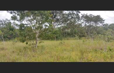 Imagem: A fazenda está localizado em Pedro Afonso, TO à venda por