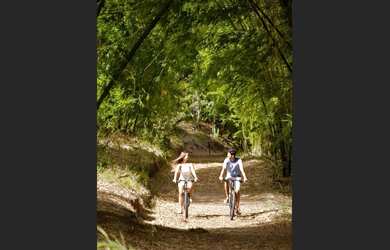 Imagem 2: Terrenos e Lotes no Fazenda Real